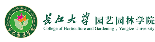 伟德国际VICTOR1946